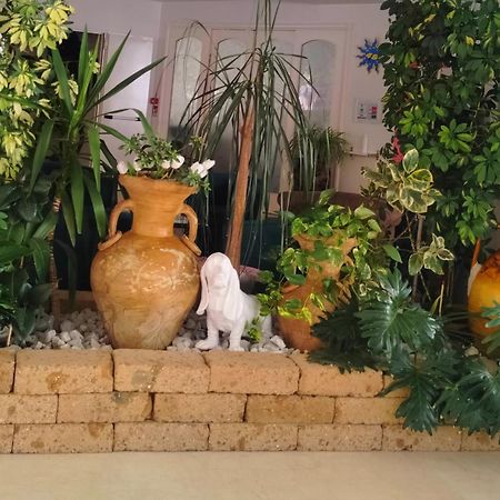 Hotel De Amicis Riccione Zewnętrze zdjęcie