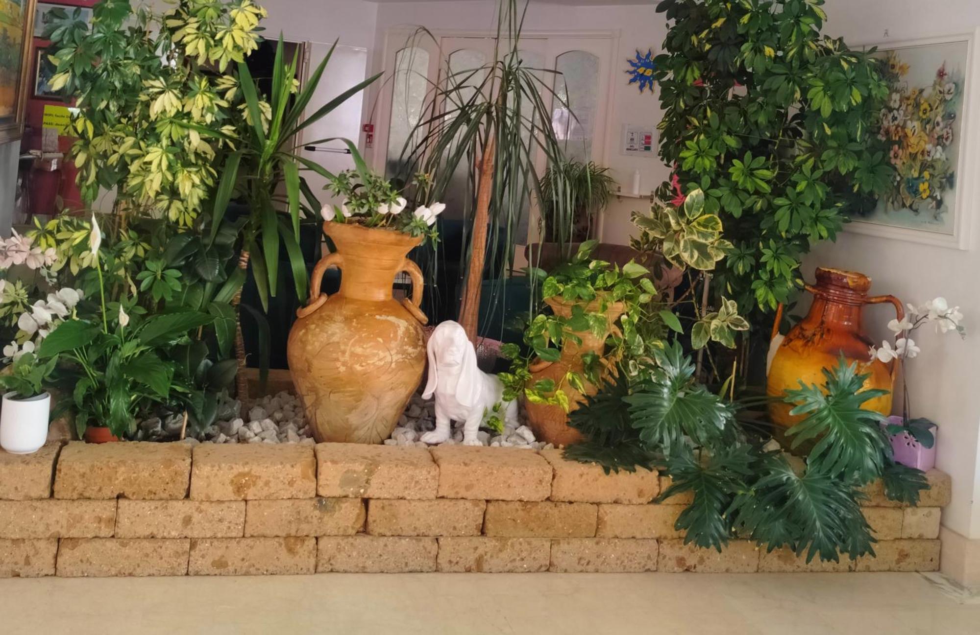 Hotel De Amicis Riccione Zewnętrze zdjęcie